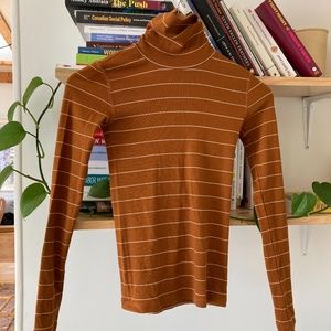 Everlane Pima Micro-Rib Turtleneck XXS